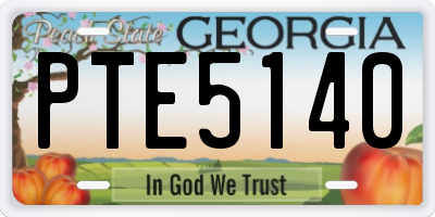 GA license plate PTE5140