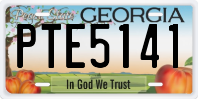 GA license plate PTE5141