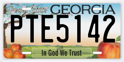 GA license plate PTE5142