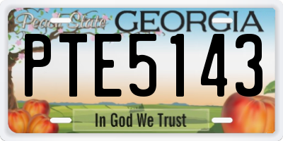 GA license plate PTE5143