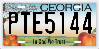 GA license plate PTE5144
