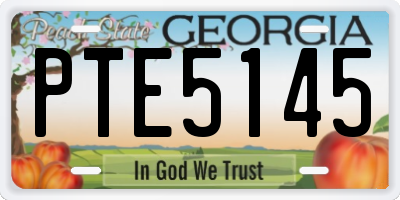 GA license plate PTE5145