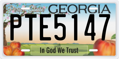 GA license plate PTE5147