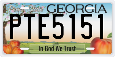 GA license plate PTE5151
