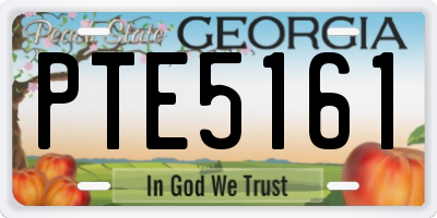 GA license plate PTE5161