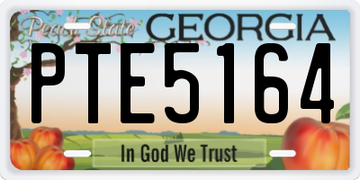 GA license plate PTE5164