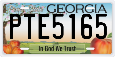 GA license plate PTE5165
