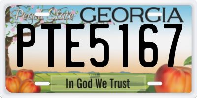 GA license plate PTE5167