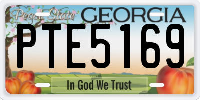 GA license plate PTE5169