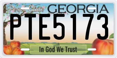 GA license plate PTE5173