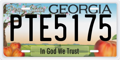 GA license plate PTE5175