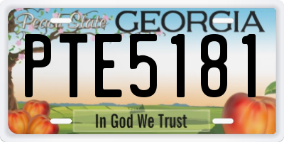 GA license plate PTE5181