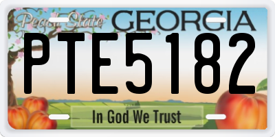 GA license plate PTE5182