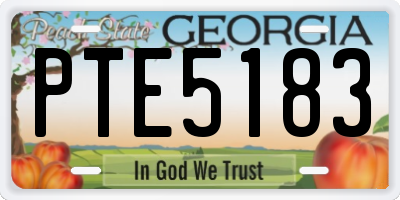 GA license plate PTE5183