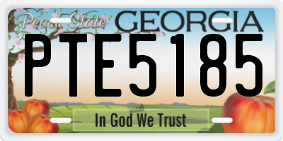 GA license plate PTE5185