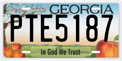 GA license plate PTE5187