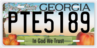 GA license plate PTE5189
