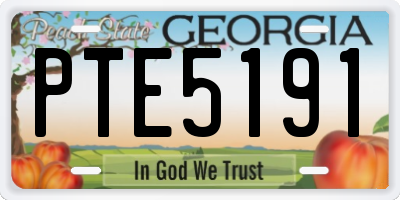 GA license plate PTE5191