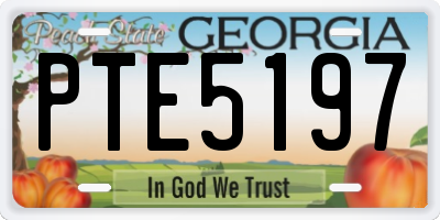 GA license plate PTE5197
