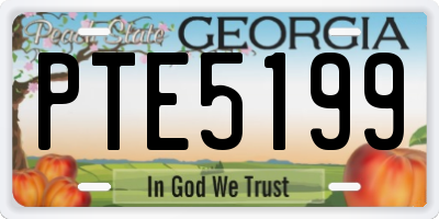 GA license plate PTE5199