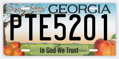 GA license plate PTE5201