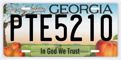GA license plate PTE5210