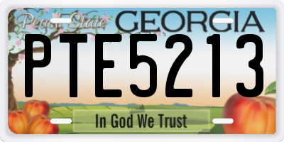 GA license plate PTE5213