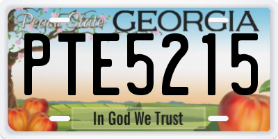 GA license plate PTE5215