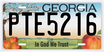 GA license plate PTE5216