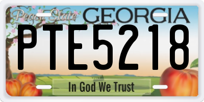 GA license plate PTE5218
