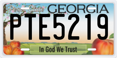 GA license plate PTE5219