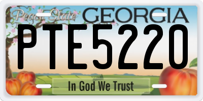 GA license plate PTE5220