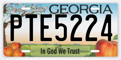 GA license plate PTE5224