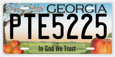 GA license plate PTE5225