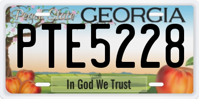 GA license plate PTE5228
