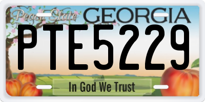 GA license plate PTE5229