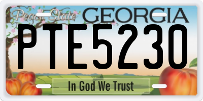 GA license plate PTE5230