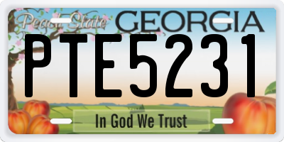 GA license plate PTE5231