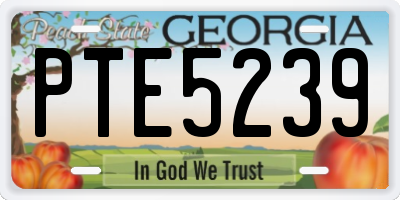 GA license plate PTE5239