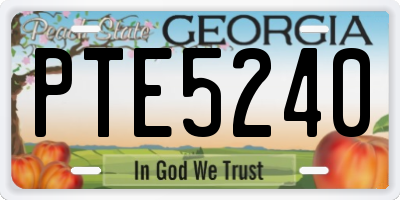 GA license plate PTE5240