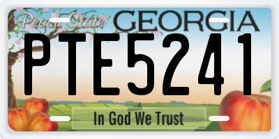 GA license plate PTE5241
