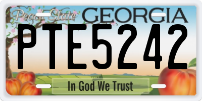 GA license plate PTE5242