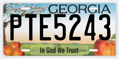 GA license plate PTE5243