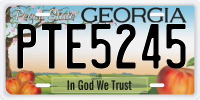 GA license plate PTE5245