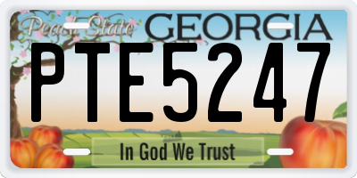 GA license plate PTE5247