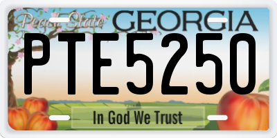 GA license plate PTE5250