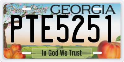 GA license plate PTE5251