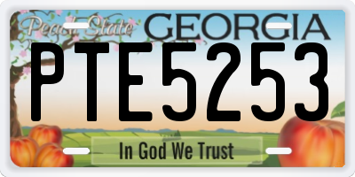 GA license plate PTE5253