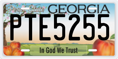 GA license plate PTE5255