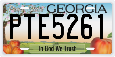 GA license plate PTE5261